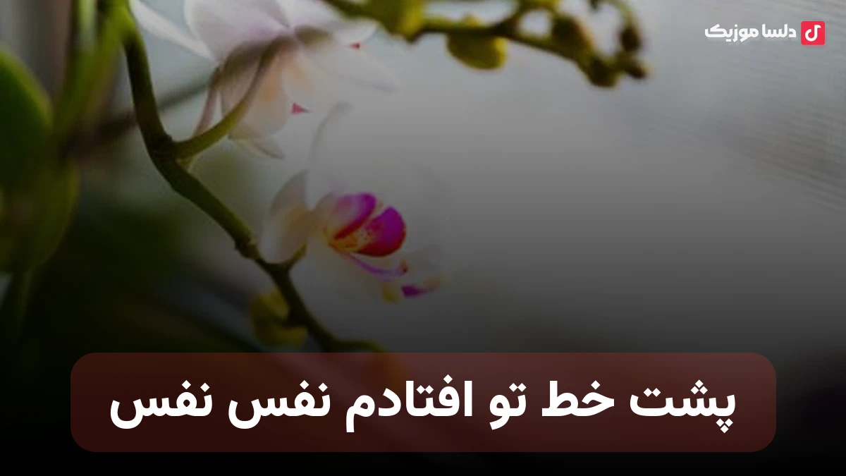 پشت خطه تو افتادم نفس نفس همراه ریمیکس